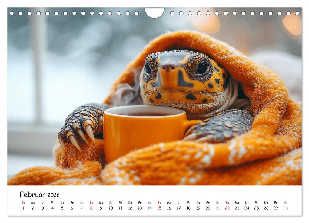 Weitere Ansicht: CHILL MAL - Entspannte Schildkröten beim Faulenzen (Wandkalender 2026 DIN A4 quer), CALVENDO Monatskalender | Calvendo, MB Fotografie