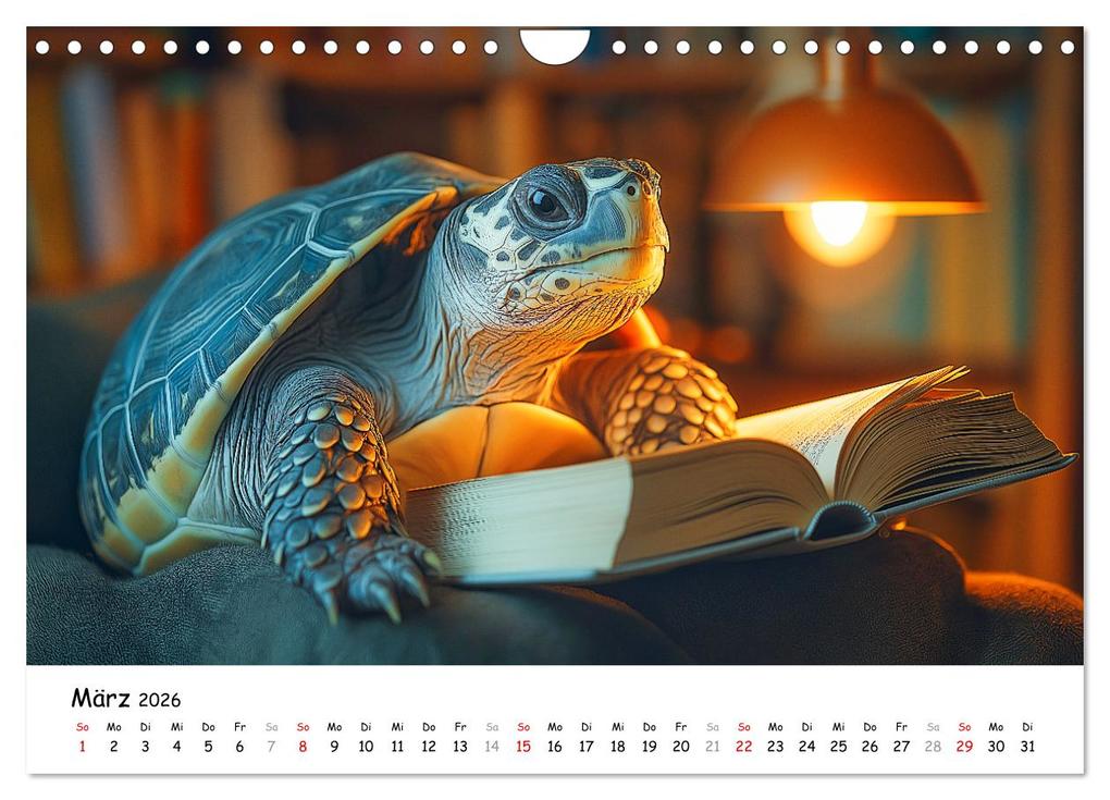 Weitere Ansicht: CHILL MAL - Entspannte Schildkröten beim Faulenzen (Wandkalender 2026 DIN A4 quer), CALVENDO Monatskalender | Calvendo, MB Fotografie