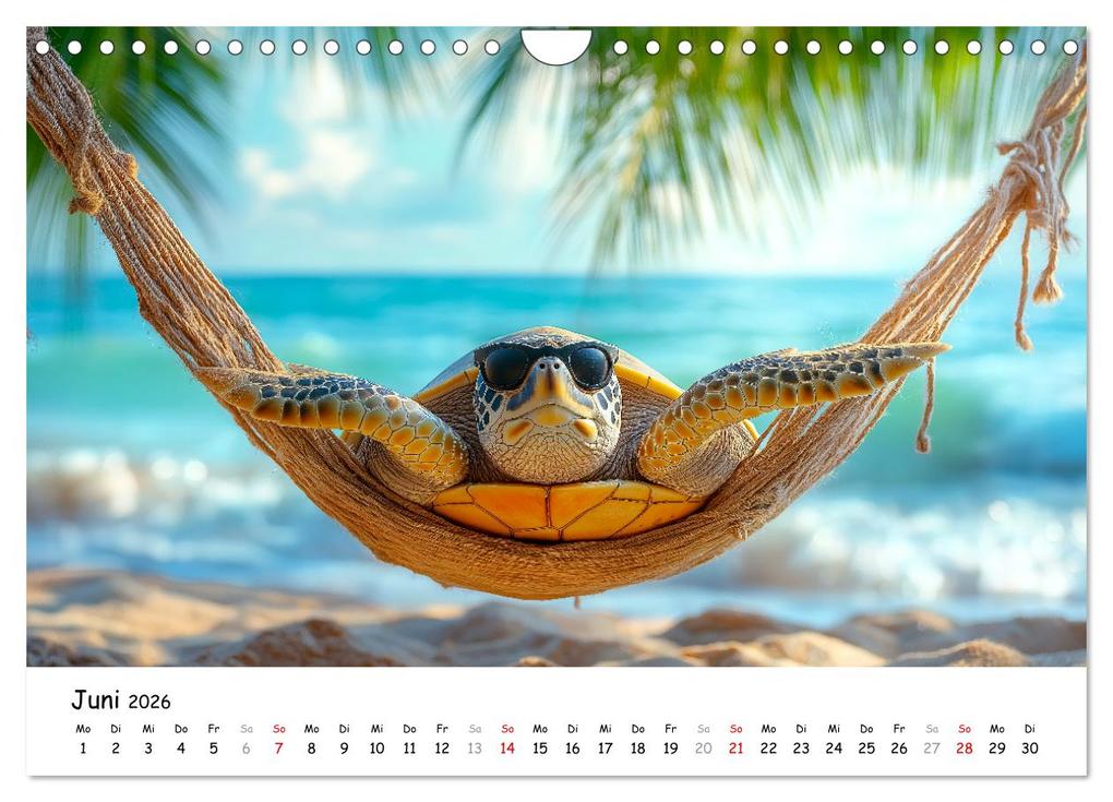 Weitere Ansicht: CHILL MAL - Entspannte Schildkröten beim Faulenzen (Wandkalender 2026 DIN A4 quer), CALVENDO Monatskalender | Calvendo, MB Fotografie