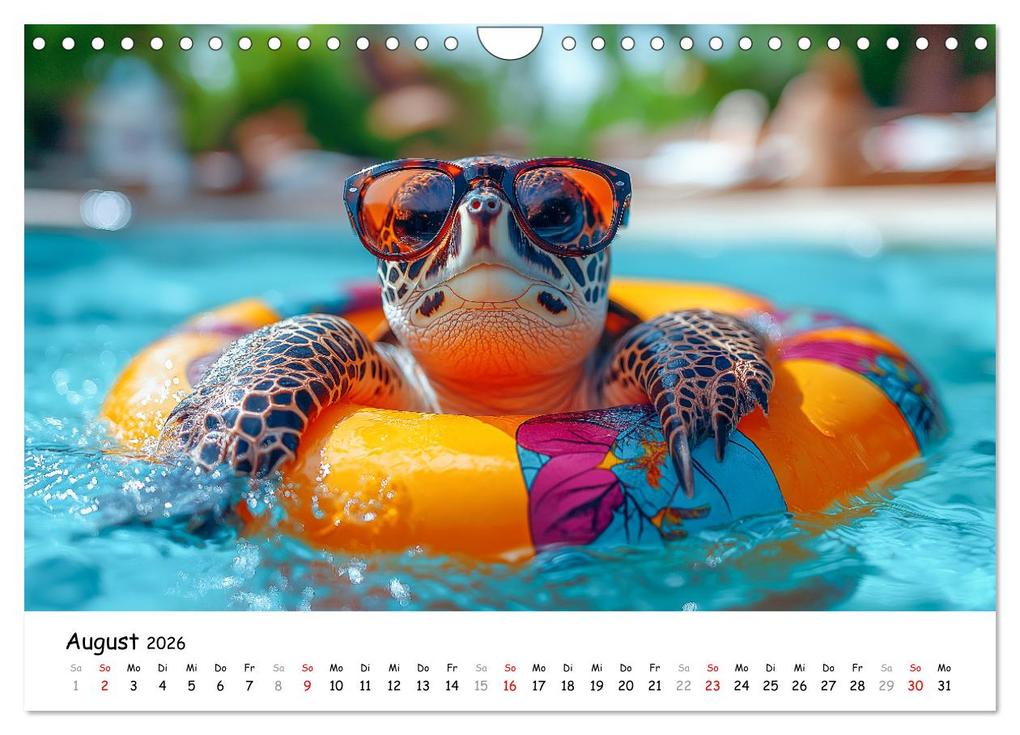 Weitere Ansicht: CHILL MAL - Entspannte Schildkröten beim Faulenzen (Wandkalender 2026 DIN A4 quer), CALVENDO Monatskalender | Calvendo, MB Fotografie