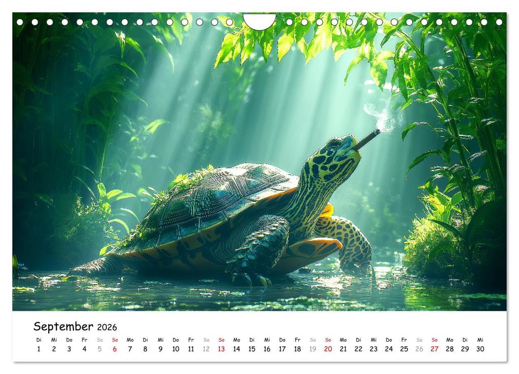 Weitere Ansicht: CHILL MAL - Entspannte Schildkröten beim Faulenzen (Wandkalender 2026 DIN A4 quer), CALVENDO Monatskalender | Calvendo, MB Fotografie