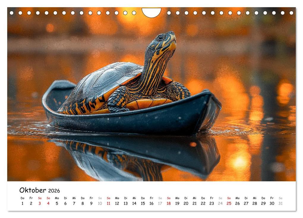 Weitere Ansicht: CHILL MAL - Entspannte Schildkröten beim Faulenzen (Wandkalender 2026 DIN A4 quer), CALVENDO Monatskalender | Calvendo, MB Fotografie