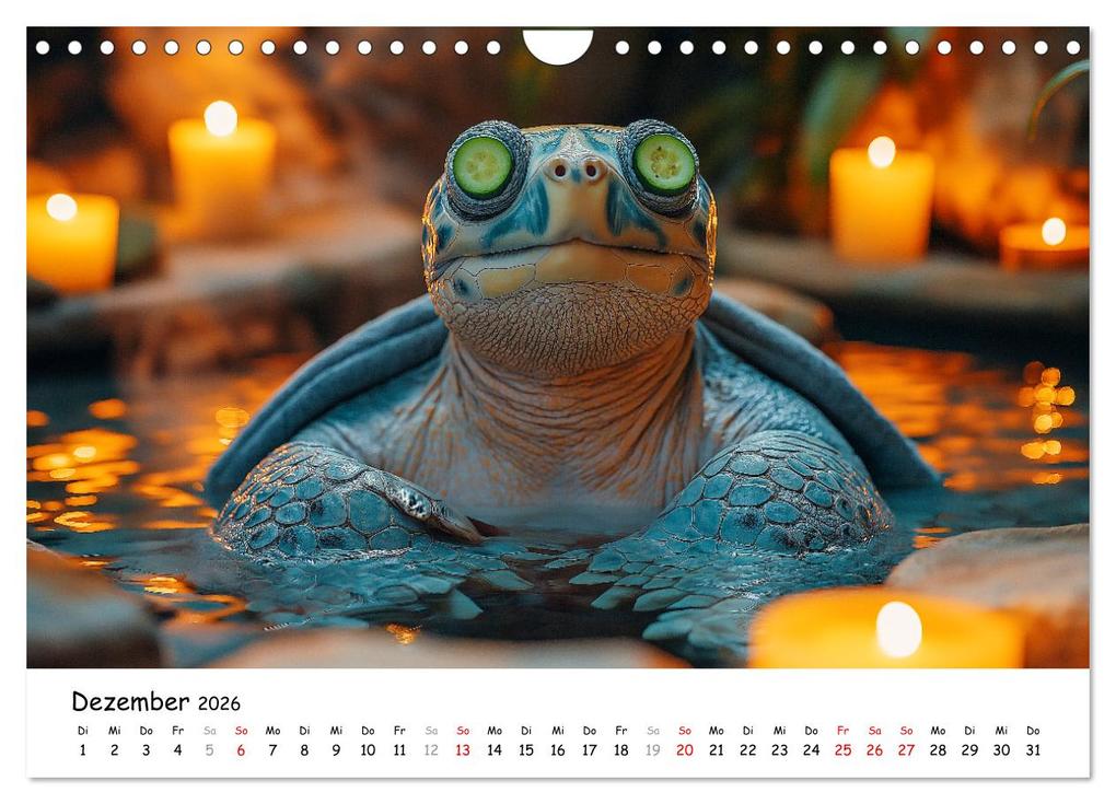 Weitere Ansicht: CHILL MAL - Entspannte Schildkröten beim Faulenzen (Wandkalender 2026 DIN A4 quer), CALVENDO Monatskalender | Calvendo, MB Fotografie