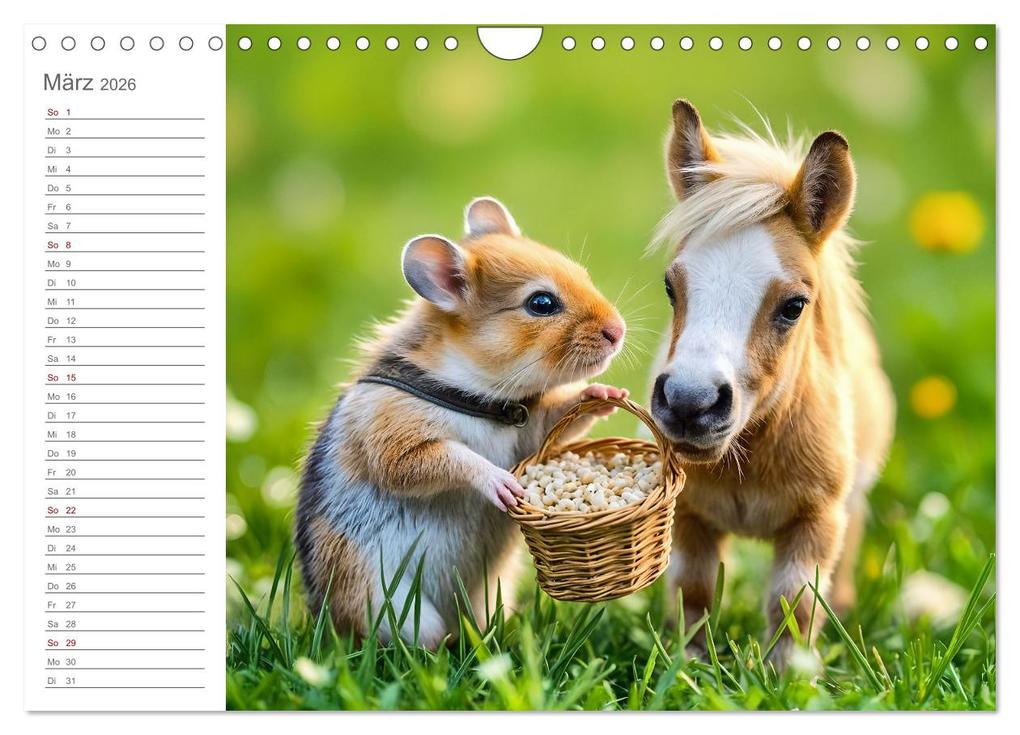 Weitere Ansicht: Hamsterhausen - Ein Hamster und seine tierischen Freunde (Wandkalender 2026 DIN A4 quer), CALVENDO Monatskalender | Calvendo, Fred Schimak