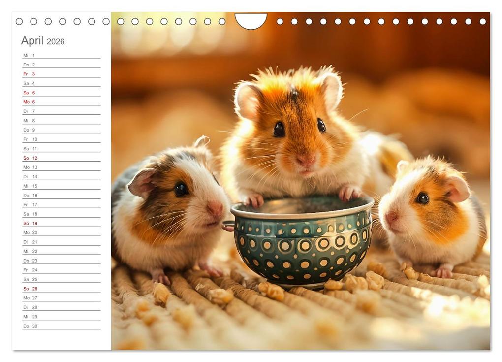 Weitere Ansicht: Hamsterhausen - Ein Hamster und seine tierischen Freunde (Wandkalender 2026 DIN A4 quer), CALVENDO Monatskalender | Calvendo, Fred Schimak