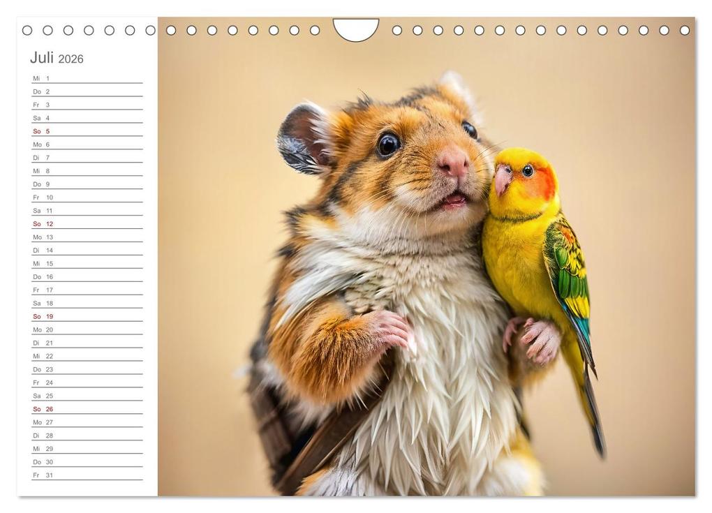 Weitere Ansicht: Hamsterhausen - Ein Hamster und seine tierischen Freunde (Wandkalender 2026 DIN A4 quer), CALVENDO Monatskalender | Calvendo, Fred Schimak
