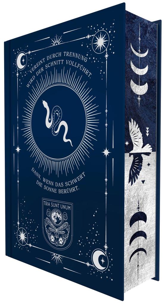 Weitere Ansicht: A Light Will Spark (School of Darkness 2) | Beril Kehribar