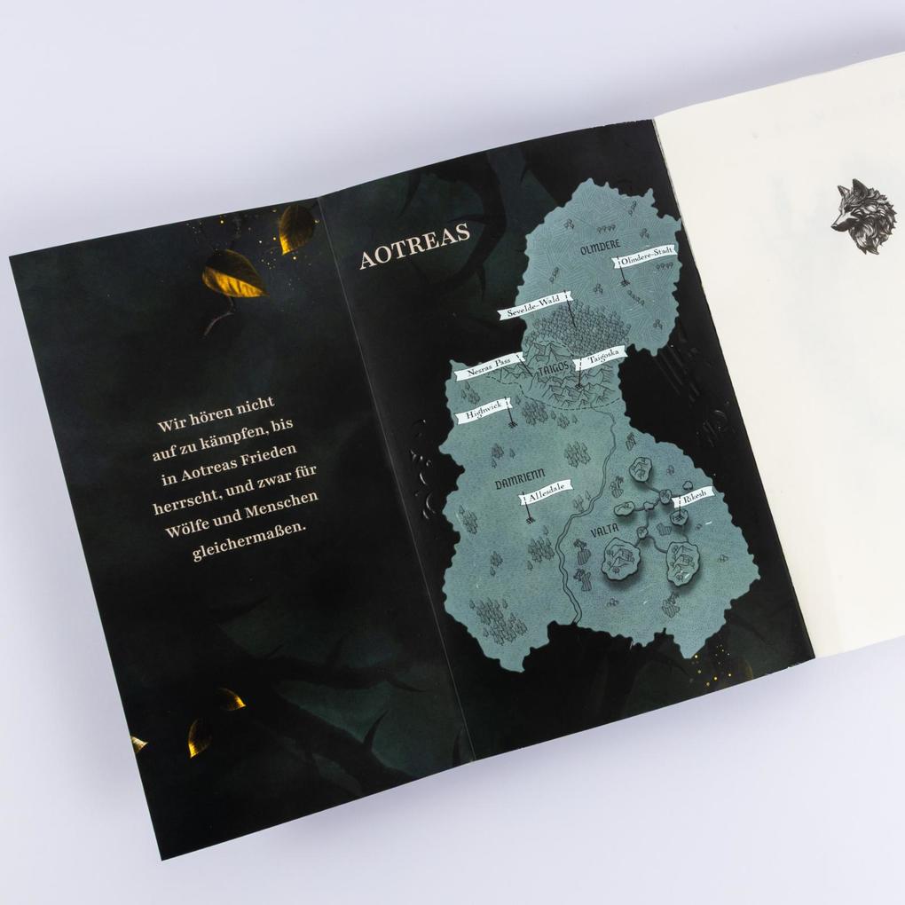 Weitere Ansicht: A Sky of Emerald Stars (The Golden Court 2) | A.K. Mulford