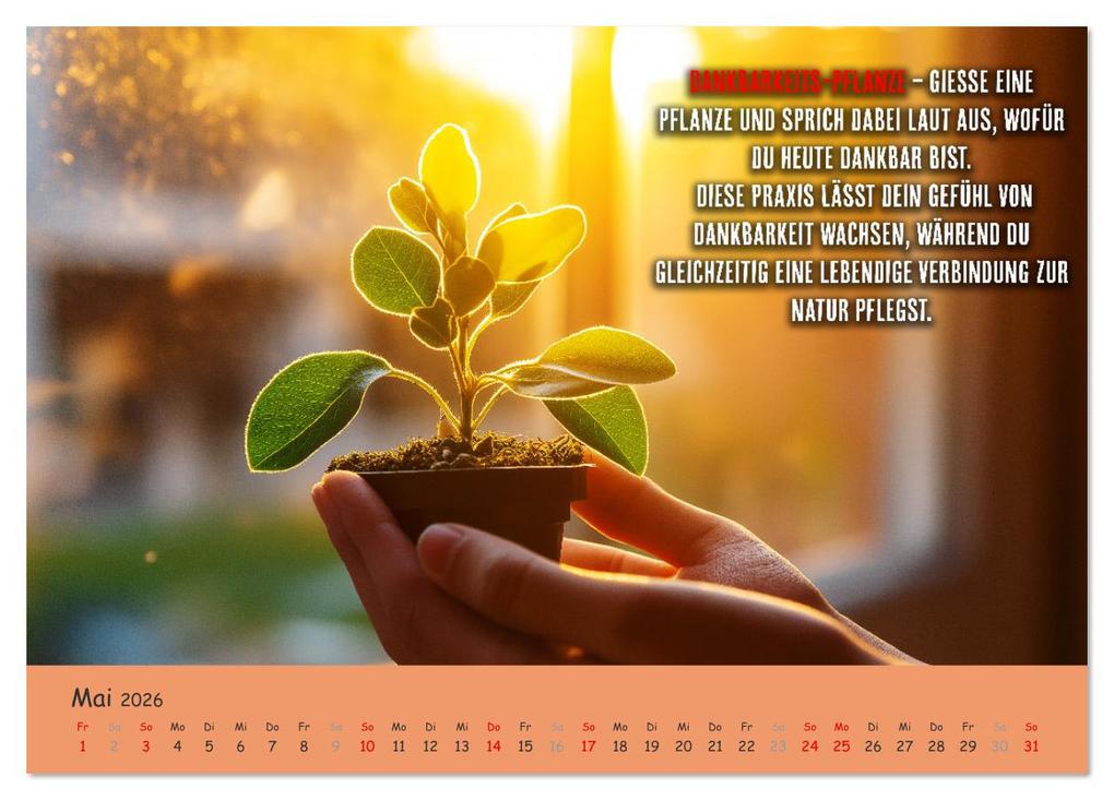 Weitere Ansicht: Dein Achtsamkeitskalender (Tischkalender 2026 DIN A5 quer), CALVENDO Monatskalender | MB Fotografie, Calvendo
