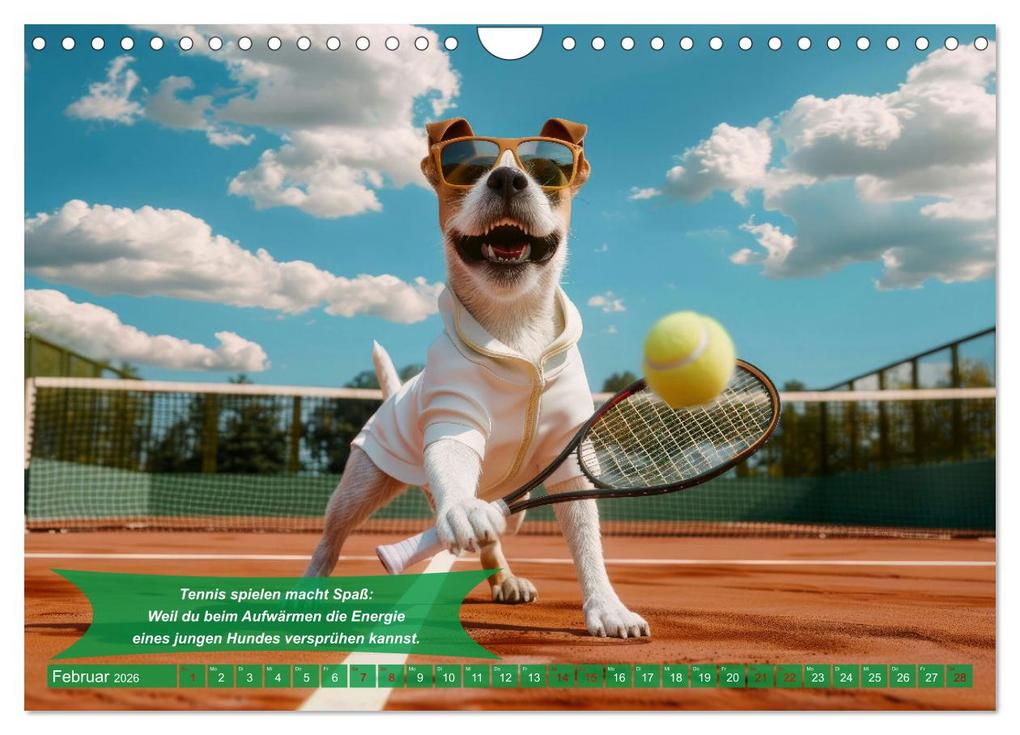 Weitere Ansicht: Der tierisch lustige Tennis-Kalender (Wandkalender 2026 DIN A4 quer), CALVENDO Monatskalender | Calvendo, Peter Rübsamen