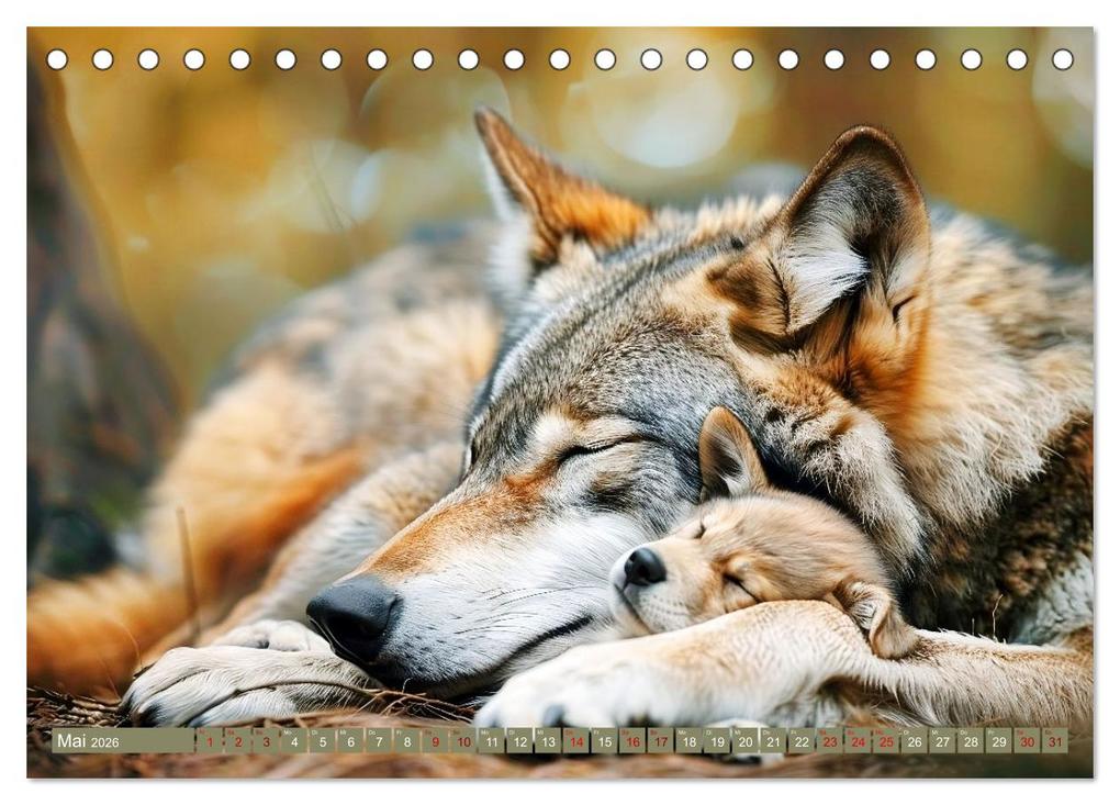 Weitere Ansicht: Die wilden Hunde (Tischkalender 2026 DIN A5 quer), CALVENDO Monatskalender | Daniela Tapper, Calvendo