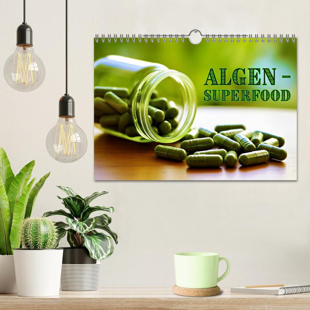 Weitere Ansicht: Algen - Superfood (Wandkalender 2026 DIN A4 quer), CALVENDO Monatskalender | Calvendo, Susan Michel