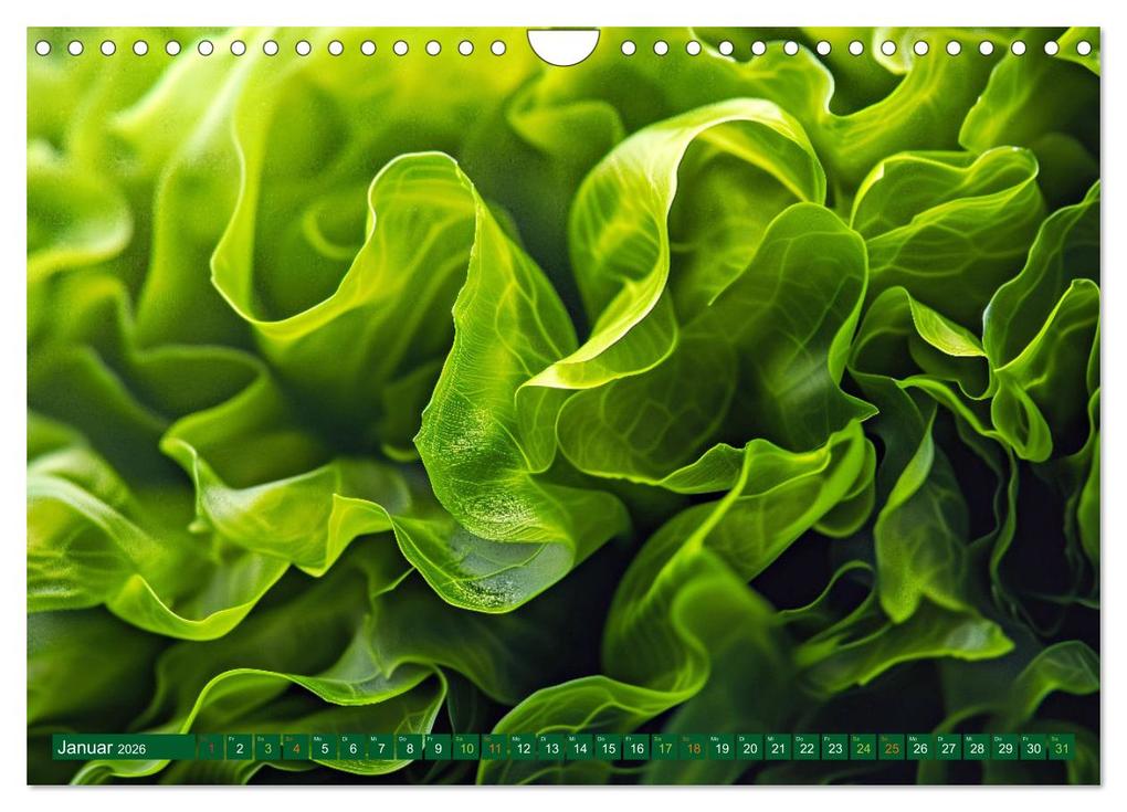 Weitere Ansicht: Algen - Superfood (Wandkalender 2026 DIN A4 quer), CALVENDO Monatskalender | Calvendo, Susan Michel