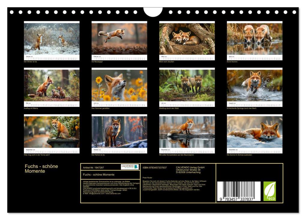 Weitere Ansicht: Fuchs - schöne Momente (Wandkalender 2026 DIN A4 quer), CALVENDO Monatskalender | Peter Roder, Calvendo