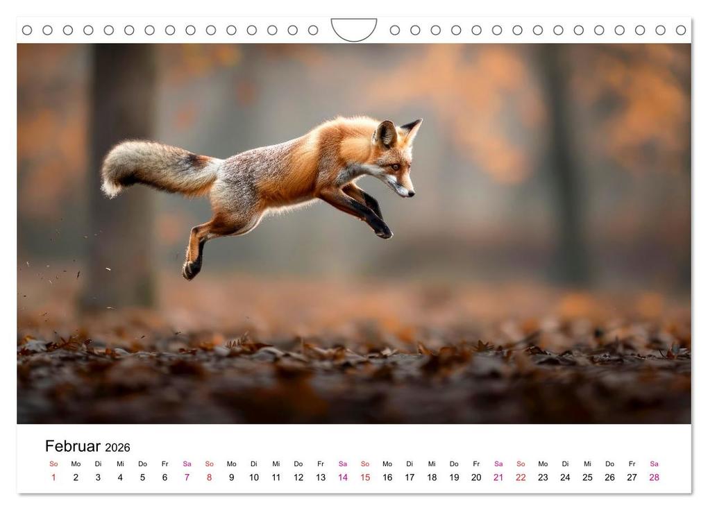 Weitere Ansicht: Fuchs - schöne Momente (Wandkalender 2026 DIN A4 quer), CALVENDO Monatskalender | Peter Roder, Calvendo