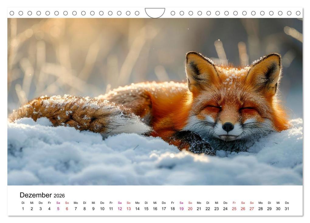 Weitere Ansicht: Fuchs - schöne Momente (Wandkalender 2026 DIN A4 quer), CALVENDO Monatskalender | Peter Roder, Calvendo