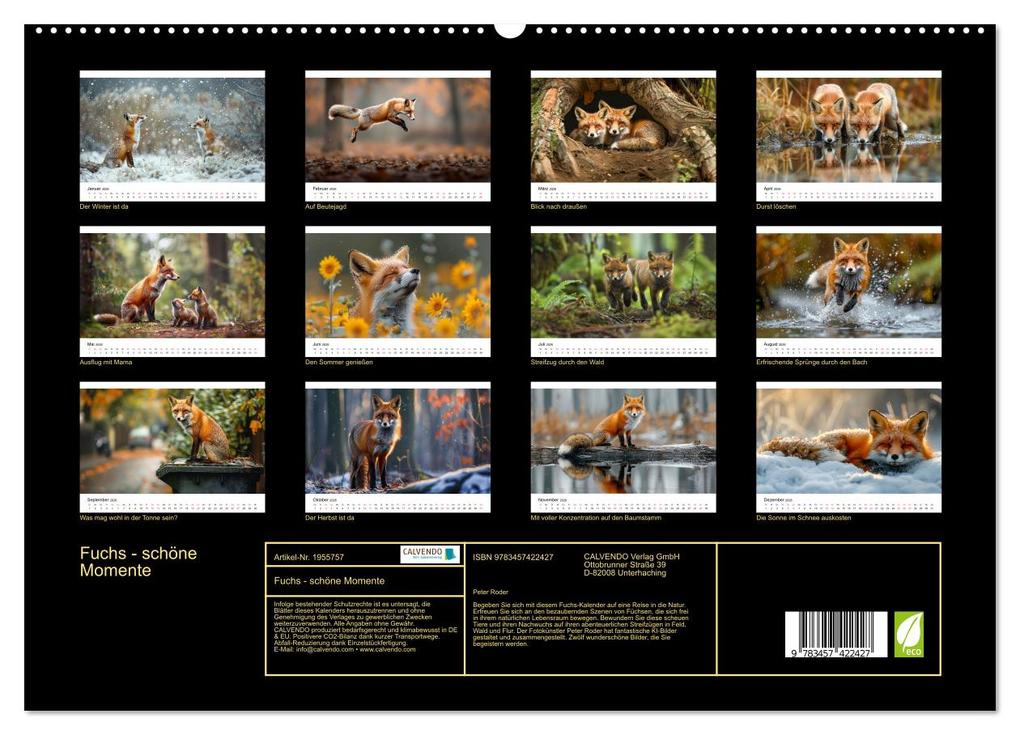Weitere Ansicht: Fuchs - schöne Momente (hochwertiger Premium Wandkalender 2026 DIN A2 quer), Kunstdruck in Hochglanz | Peter Roder, Calvendo