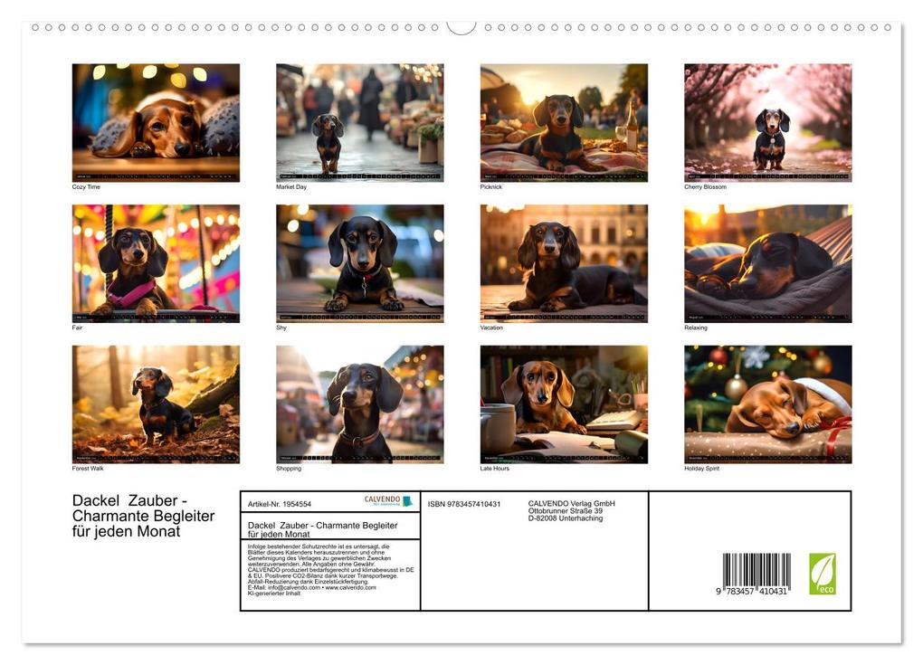 Weitere Ansicht: Dackel Zauber - Charmante Begleiter für jeden Monat (hochwertiger Premium Wandkalender 2026 DIN A2 quer), Kunstdruck in Hochglanz | Gisela Walther, Calvendo