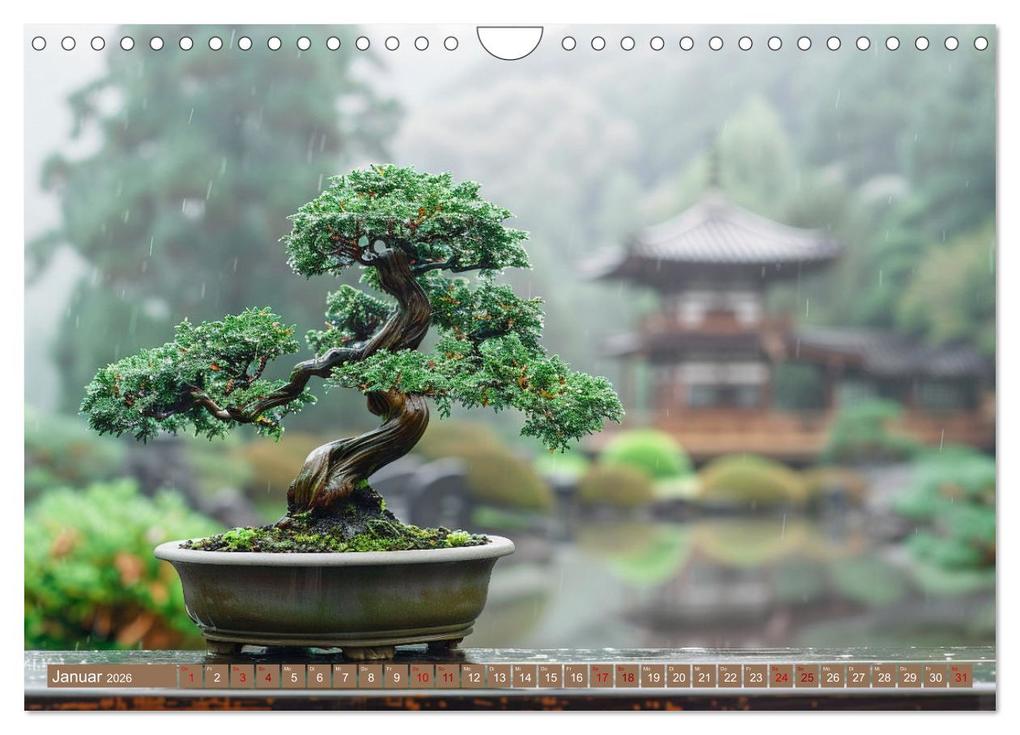 Weitere Ansicht: Bonsai meditativ (Wandkalender 2026 DIN A4 quer), CALVENDO Monatskalender | Kerstin Waurick, Calvendo