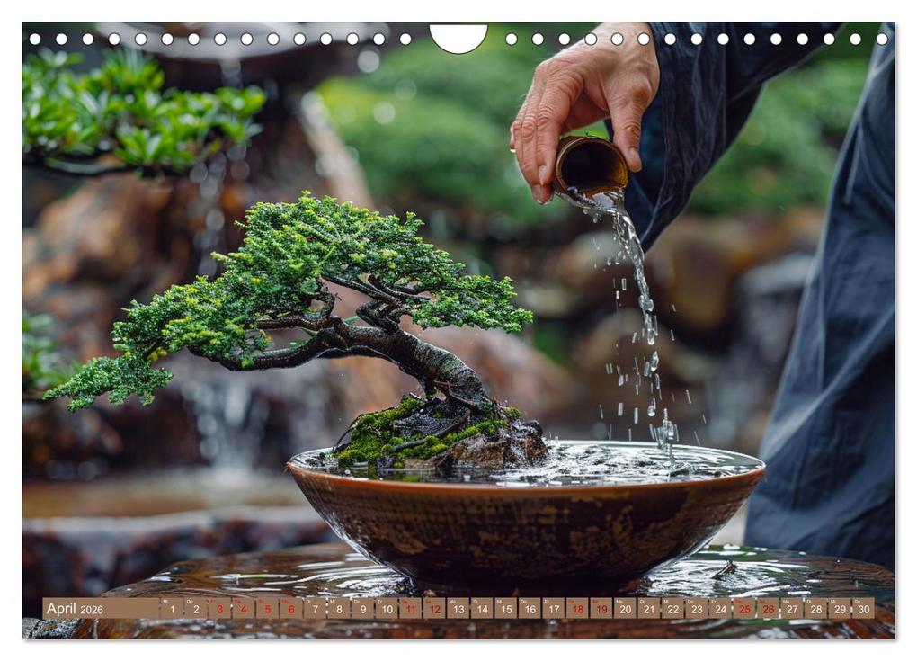 Weitere Ansicht: Bonsai meditativ (Wandkalender 2026 DIN A4 quer), CALVENDO Monatskalender | Kerstin Waurick, Calvendo