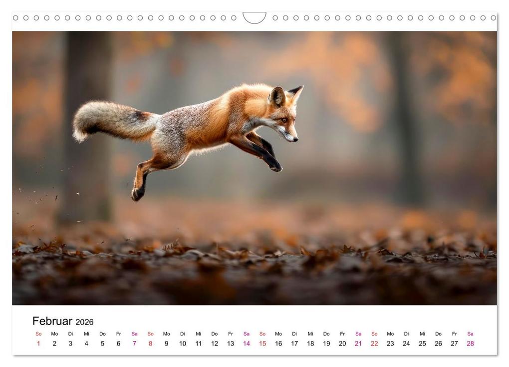 Weitere Ansicht: Fuchs - schöne Momente (Wandkalender 2026 DIN A3 quer), CALVENDO Monatskalender | Peter Roder, Calvendo