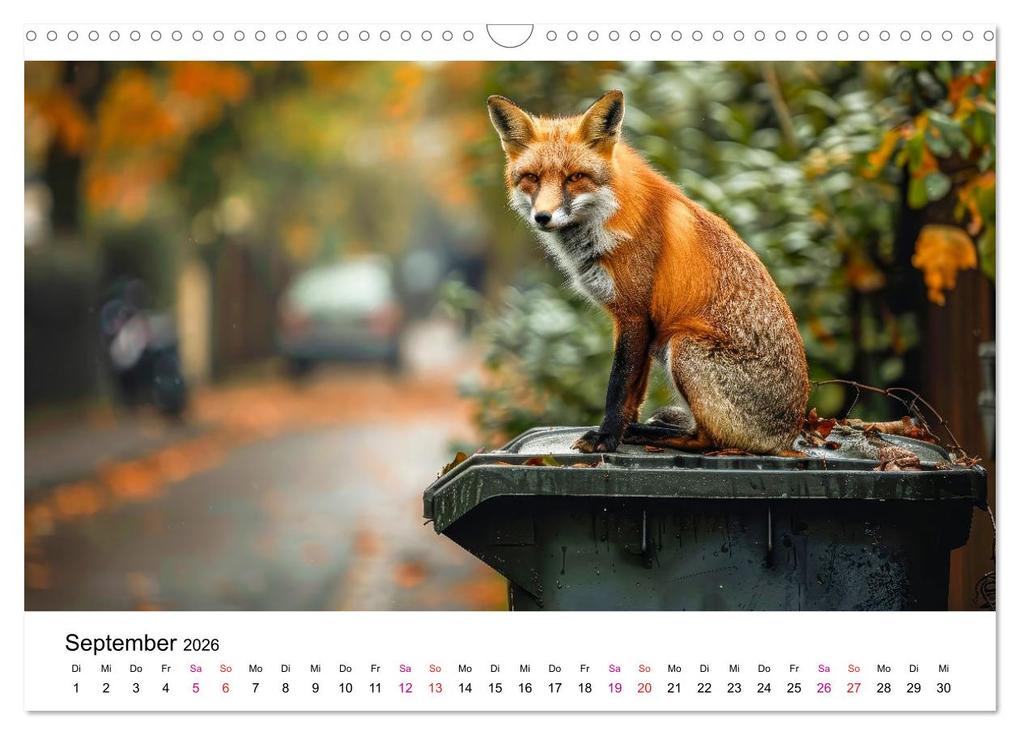 Weitere Ansicht: Fuchs - schöne Momente (Wandkalender 2026 DIN A3 quer), CALVENDO Monatskalender | Peter Roder, Calvendo