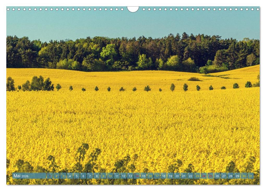 Weitere Ansicht: Buschvitz - Geografischer Mittelpunkt der Insel Rügen (Wandkalender 2026 DIN A3 quer), CALVENDO Monatskalender | Calvendo