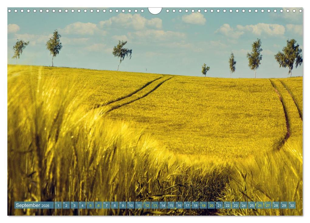 Weitere Ansicht: Buschvitz - Geografischer Mittelpunkt der Insel Rügen (Wandkalender 2026 DIN A3 quer), CALVENDO Monatskalender | Calvendo