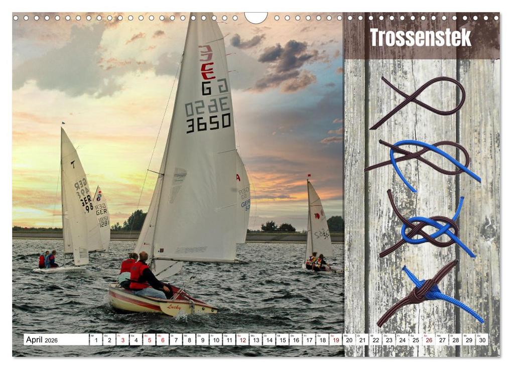 Weitere Ansicht: Schnittige Jollen - wichtige Knoten (Wandkalender 2026 DIN A3 quer), CALVENDO Monatskalender | Calvendo, Claudia Kleemann