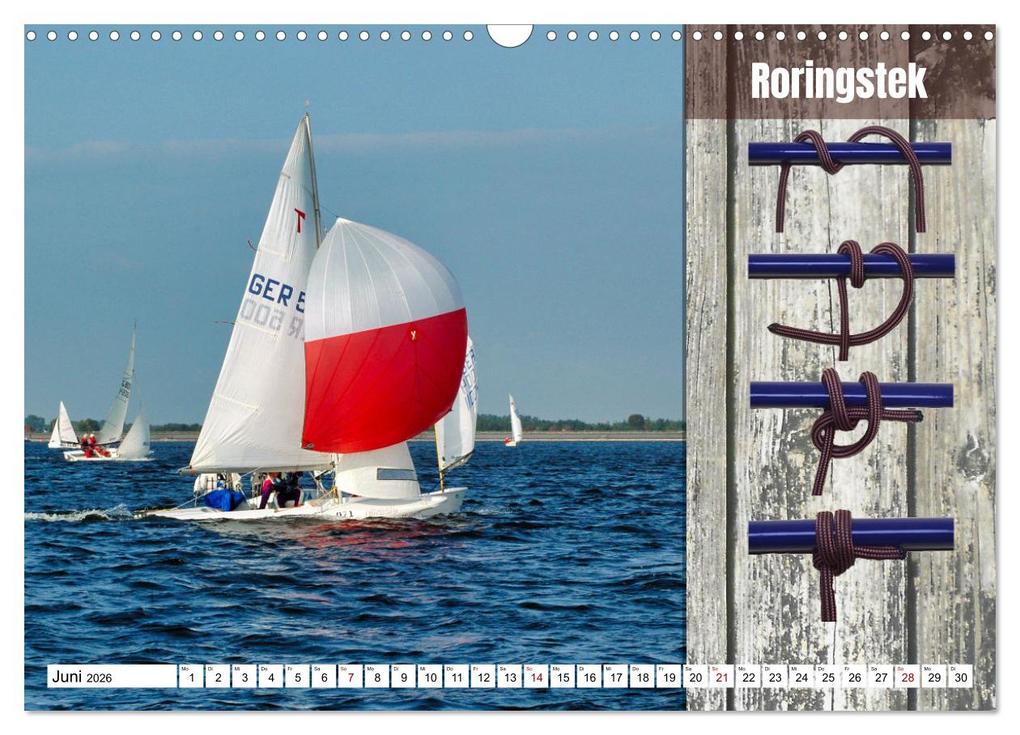 Weitere Ansicht: Schnittige Jollen - wichtige Knoten (Wandkalender 2026 DIN A3 quer), CALVENDO Monatskalender | Calvendo, Claudia Kleemann