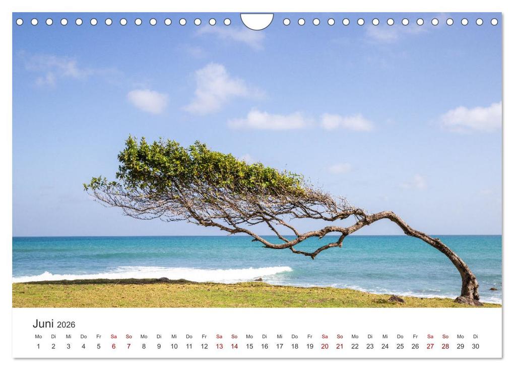 Weitere Ansicht: Guadeloupe, Trauminsel der Französische Antillen (Wandkalender 2026 DIN A4 quer), CALVENDO Monatskalender | Jan Wehnert, Calvendo
