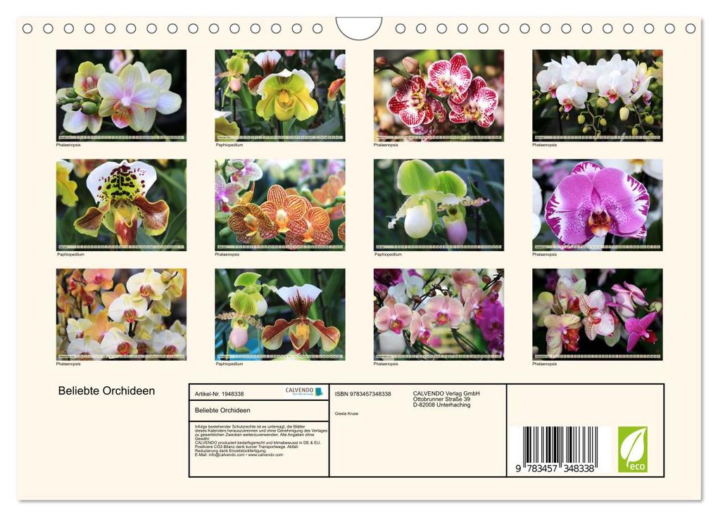 Weitere Ansicht: Beliebte Orchideen (Wandkalender 2026 DIN A4 quer), CALVENDO Monatskalender | Gisela Kruse, Calvendo