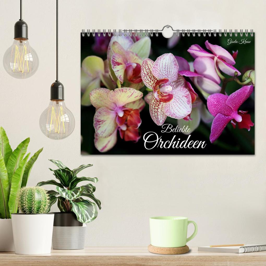 Weitere Ansicht: Beliebte Orchideen (Wandkalender 2026 DIN A4 quer), CALVENDO Monatskalender | Gisela Kruse, Calvendo