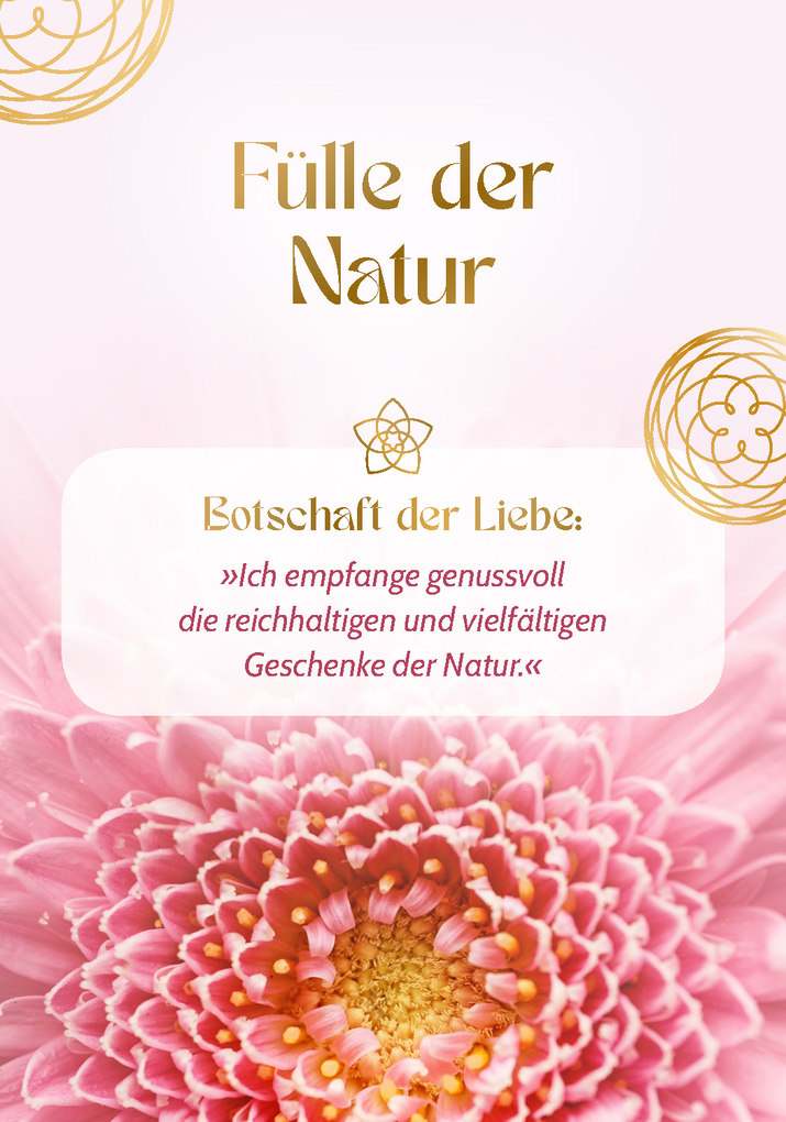 Weitere Ansicht: Blume der Liebe - 40 inspirierende Impulse für gelebte Liebe | Marion Odile Grübel