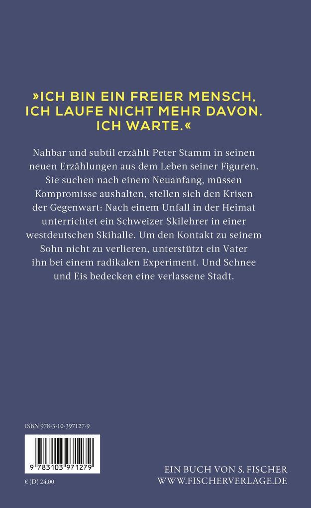 Weitere Ansicht: Auf ganz dünnem Eis | Peter Stamm