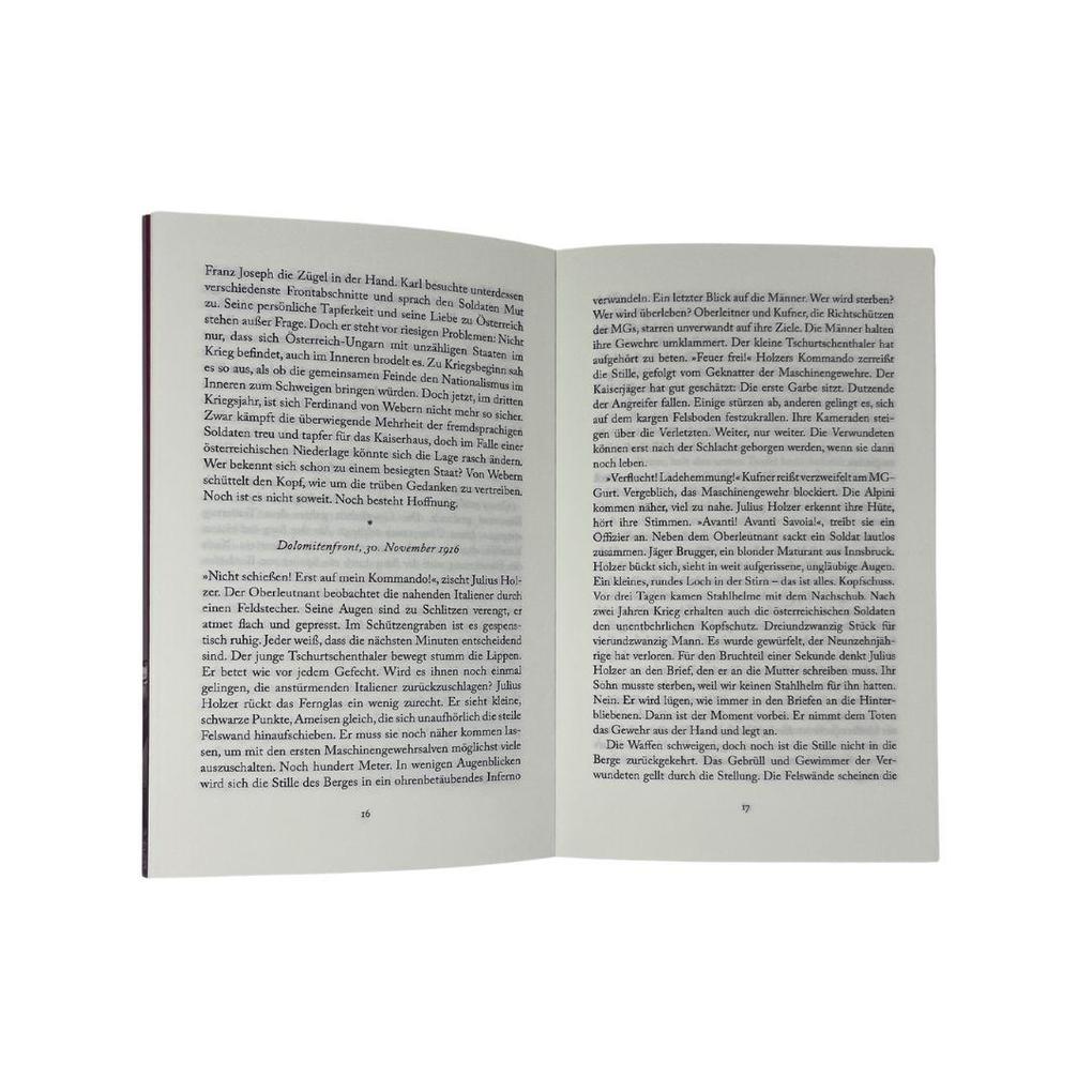 Weitere Ansicht: Der Sturz des Doppeladlers | Birgit Mosser