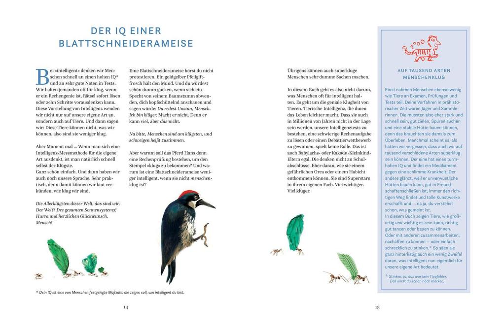 Weitere Ansicht: Schlauer, als du denkst | Lotte Stegeman