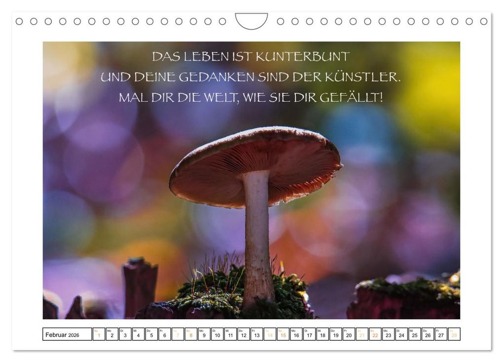 Weitere Ansicht: Spruch verliebt (Wandkalender 2026 DIN A4 quer), CALVENDO Monatskalender | Simone Sperber, Calvendo