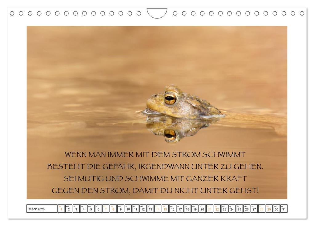 Weitere Ansicht: Spruch verliebt (Wandkalender 2026 DIN A4 quer), CALVENDO Monatskalender | Simone Sperber, Calvendo