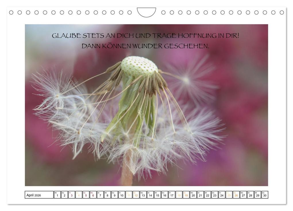 Weitere Ansicht: Spruch verliebt (Wandkalender 2026 DIN A4 quer), CALVENDO Monatskalender | Simone Sperber, Calvendo