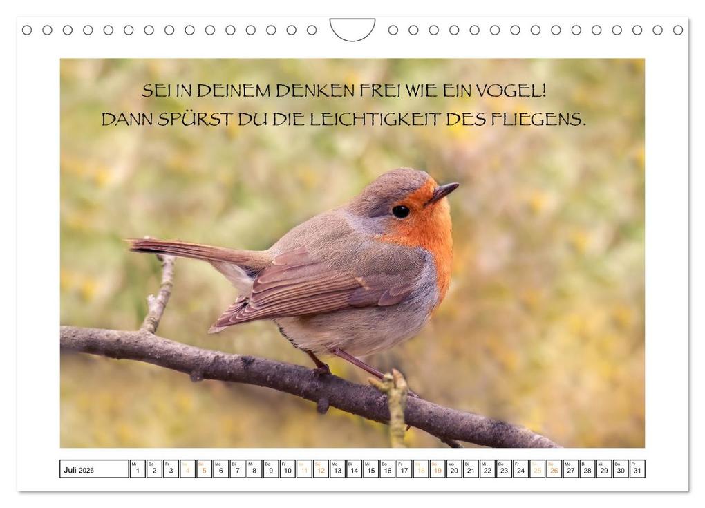 Weitere Ansicht: Spruch verliebt (Wandkalender 2026 DIN A4 quer), CALVENDO Monatskalender | Simone Sperber, Calvendo