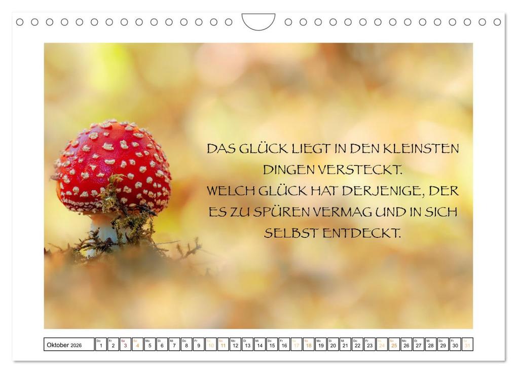Weitere Ansicht: Spruch verliebt (Wandkalender 2026 DIN A4 quer), CALVENDO Monatskalender | Simone Sperber, Calvendo