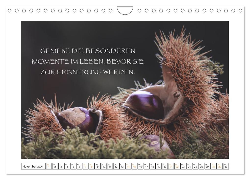 Weitere Ansicht: Spruch verliebt (Wandkalender 2026 DIN A4 quer), CALVENDO Monatskalender | Simone Sperber, Calvendo