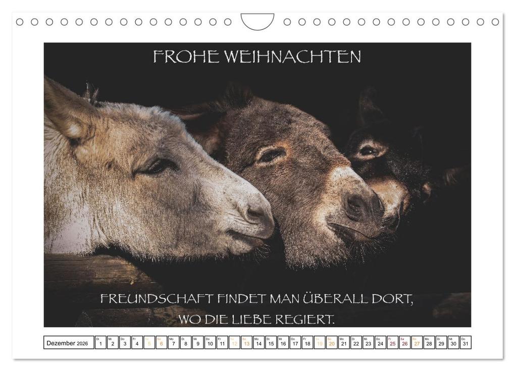 Weitere Ansicht: Spruch verliebt (Wandkalender 2026 DIN A4 quer), CALVENDO Monatskalender | Simone Sperber, Calvendo