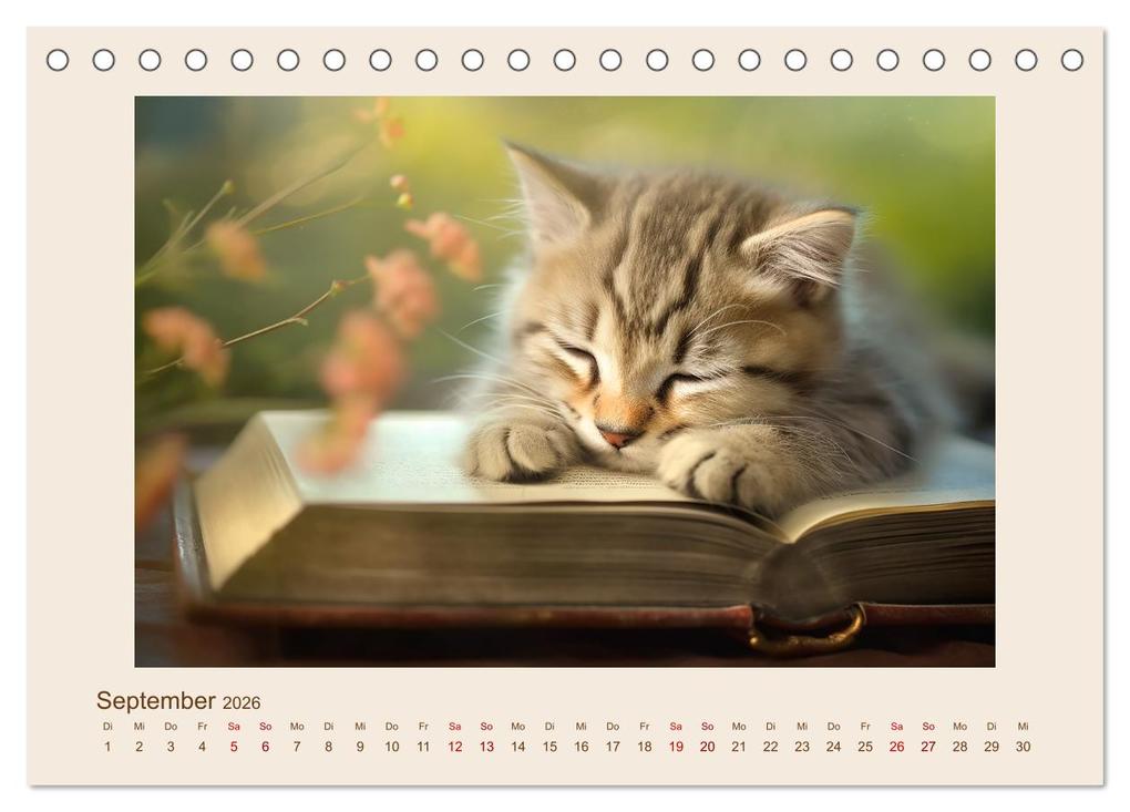 Weitere Ansicht: Bücherzauber (Tischkalender 2026 DIN A5 quer), CALVENDO Monatskalender | Cathrin Illgen, Calvendo