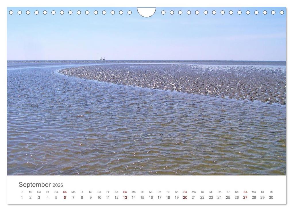Weitere Ansicht: Mein Büsum - Das wunderschöne Nordseeheilbad in Schleswig-Holstein (Wandkalender 2026 DIN A4 quer), CALVENDO Monatskalender | Michaela Schimmack, Calvendo