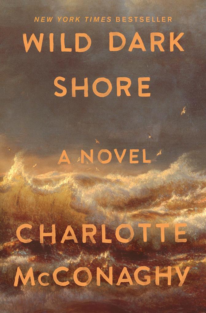 Produktbild: Wild Dark Shore | Charlotte McConaghy