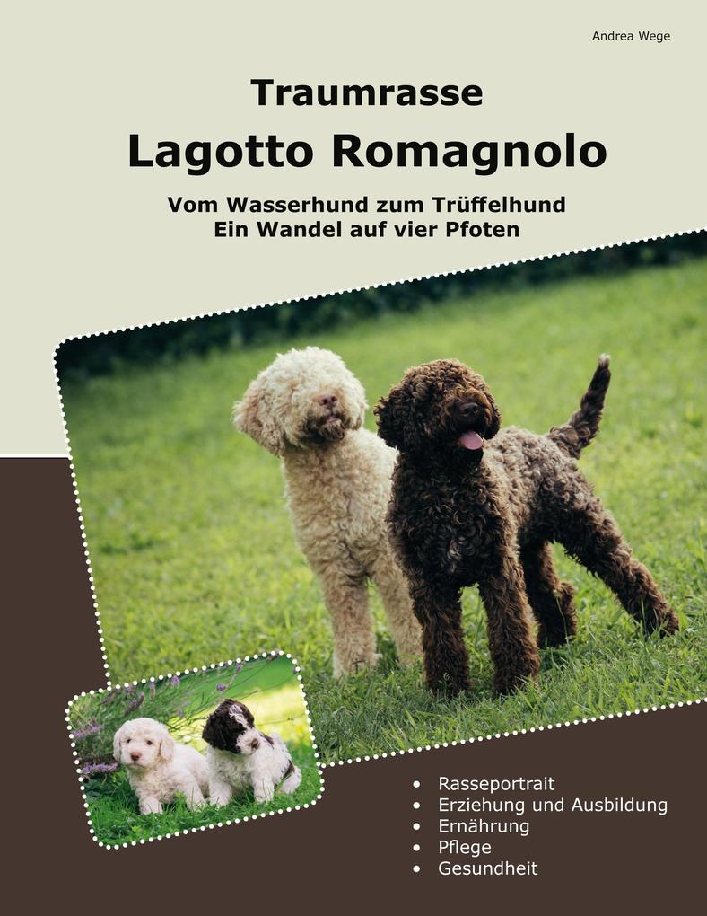 Produktbild: Traumrasse Lagotto Romagnolo | Andrea Wege