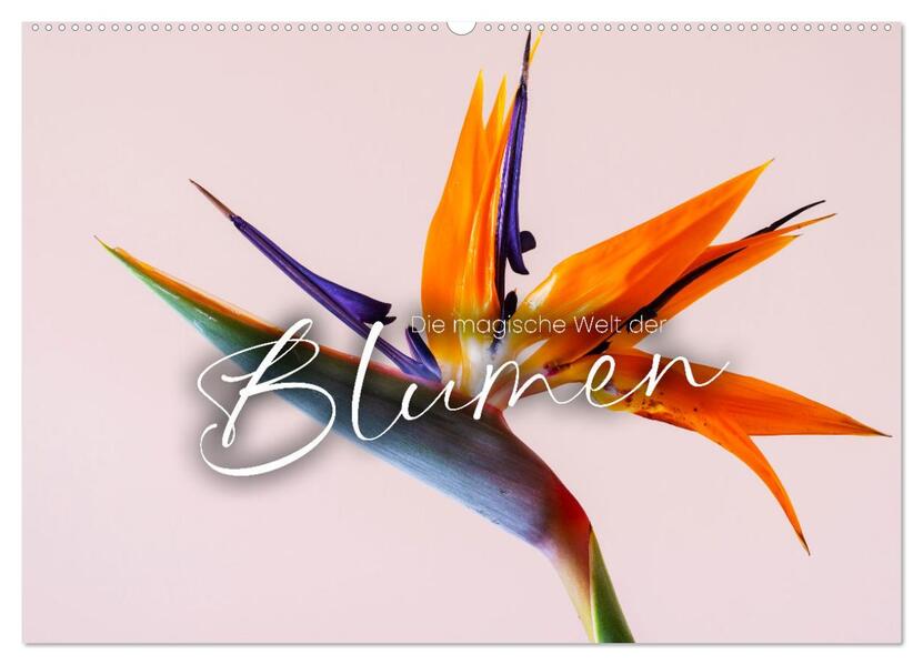 Produktbild: Die magische Welt der Blumen (Wandkalender 2026 DIN A2 quer), CALVENDO Monatskalender | SF SF, Calvendo, SF