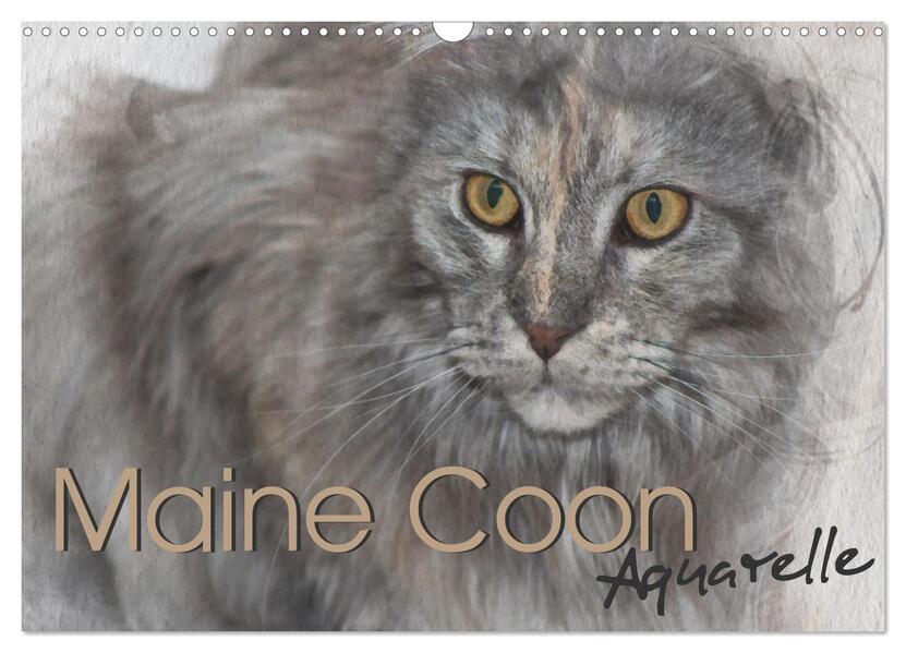 Produktbild: Maine Coon Aquarelle (Wandkalender 2026 DIN A3 quer), CALVENDO Monatskalender | Jasmin Hahn, Calvendo